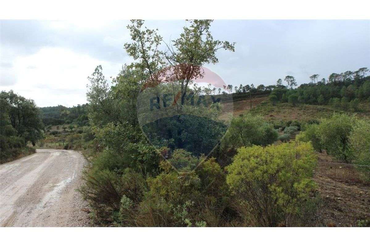 Terreno T0 para venda - Grande imagem: 5/5