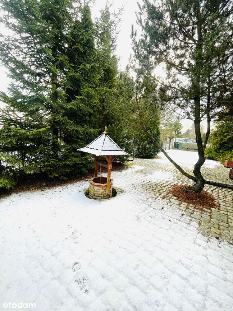 Dom nad jeziorem -pierwsza linia brzegowa Jesionka 15 min od Wolsztyna-14