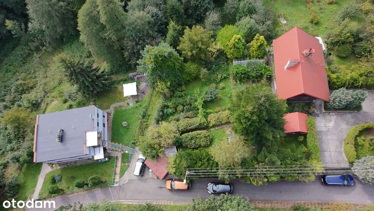 Urokliwa działka w Lipniku  ;)  Nowa cena ! dla osób ceniących spokój - Pełny obrazek: 4/11