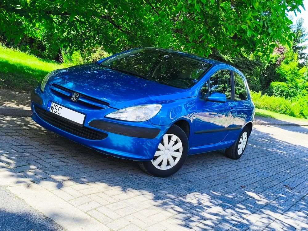 Peugeot 307 I (2001-2005) 1.6 XS 2004