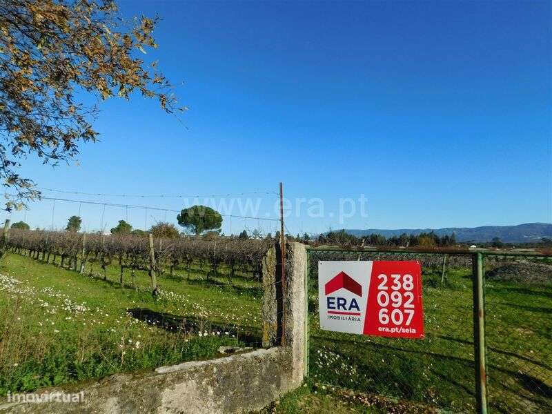 Quinta / Seia, Paranhos - Grande imagem: 2/11