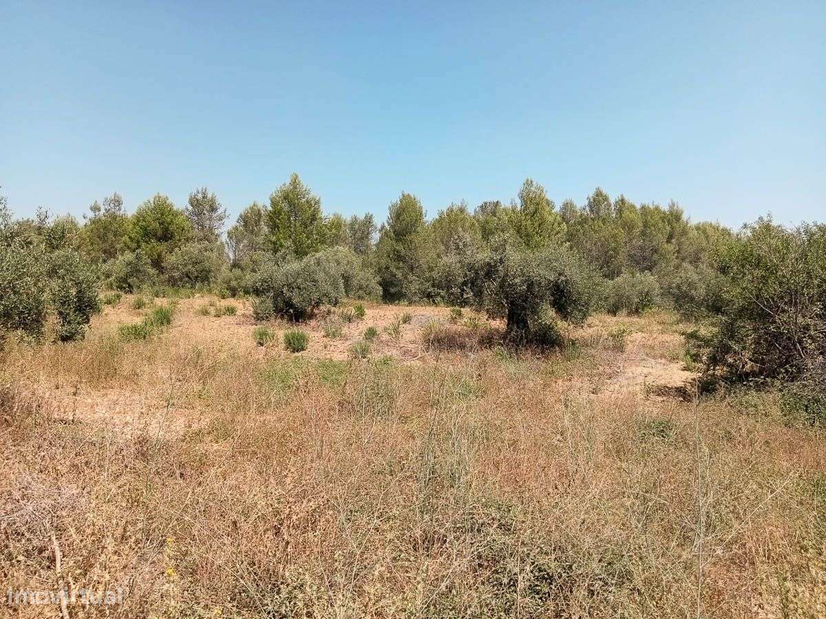 Terreno Rústico com 10.740m2 - Grande imagem: 4/7