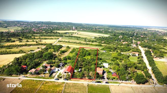 Teren generos cu potențial-Viile Satu Mare-Strada Iepurilor-5