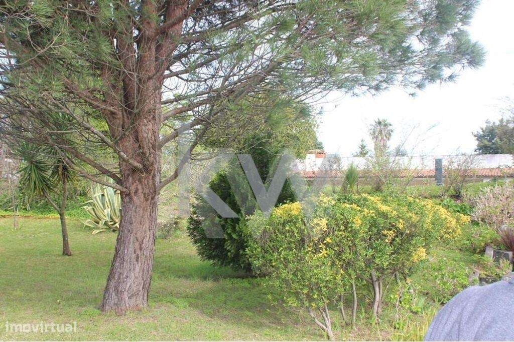 Terreno com 3325 m2 para construção de moradias Santiago da Riba-Ul, O - Grande imagem: 5/16