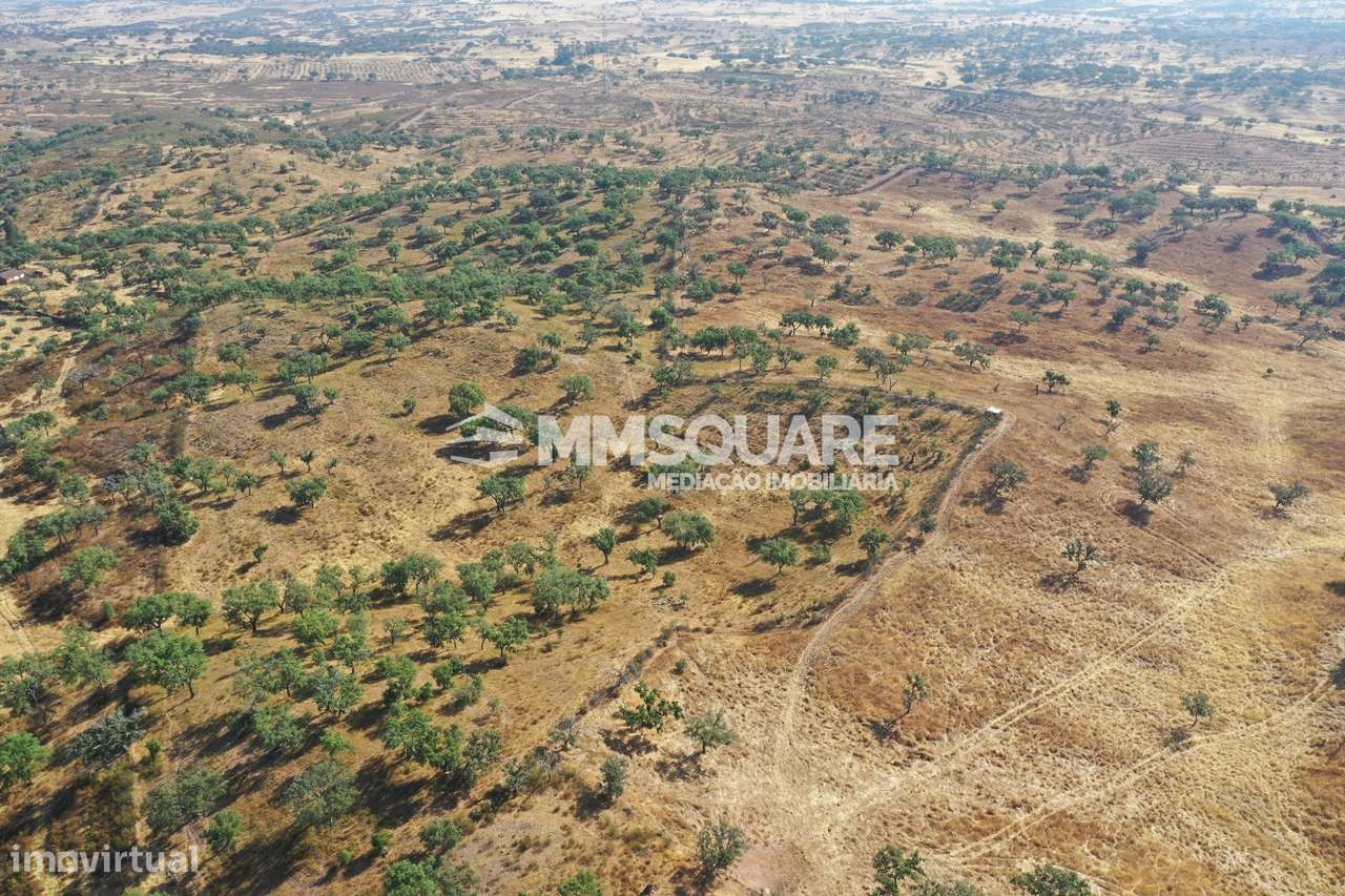 Monte do Chaparral — Ourique-11