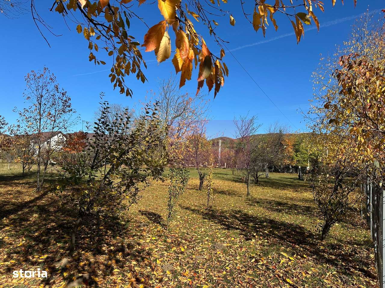 Teren intravilan de vanzare in Brebu (zona foarte linistita) - Imagine principală: 5/7
