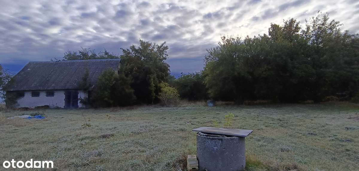 Siedlisko na Mazurach - Pełny obrazek: 4/18