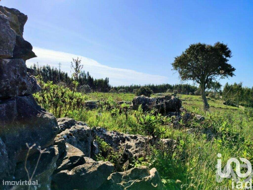 Terreno em Reguengo Grande de 27508,00 m2 - Grande imagem: 5/29