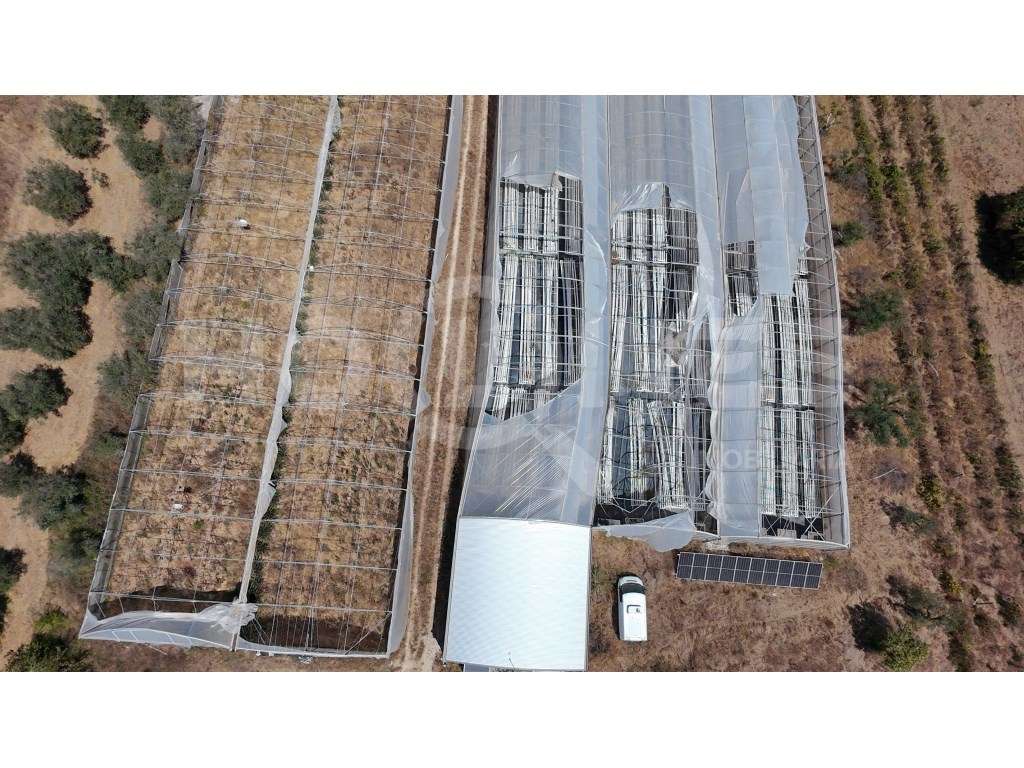 Terreno Agrícola com Estufas Preparadas para Produção em Hidroponia...-32