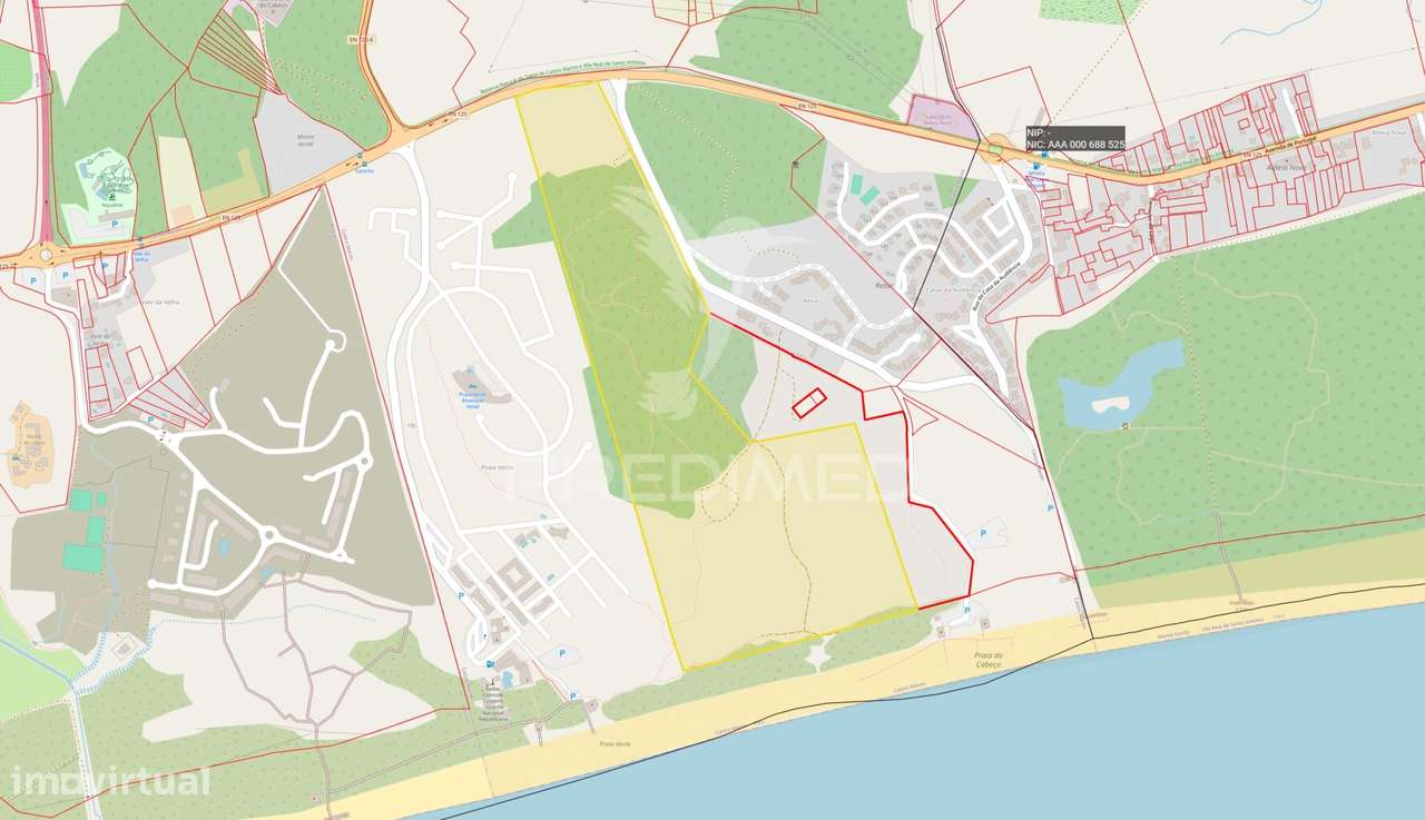 Terreno com 31.5ha com 500 metros de frente de praia - Grande imagem: 2/19