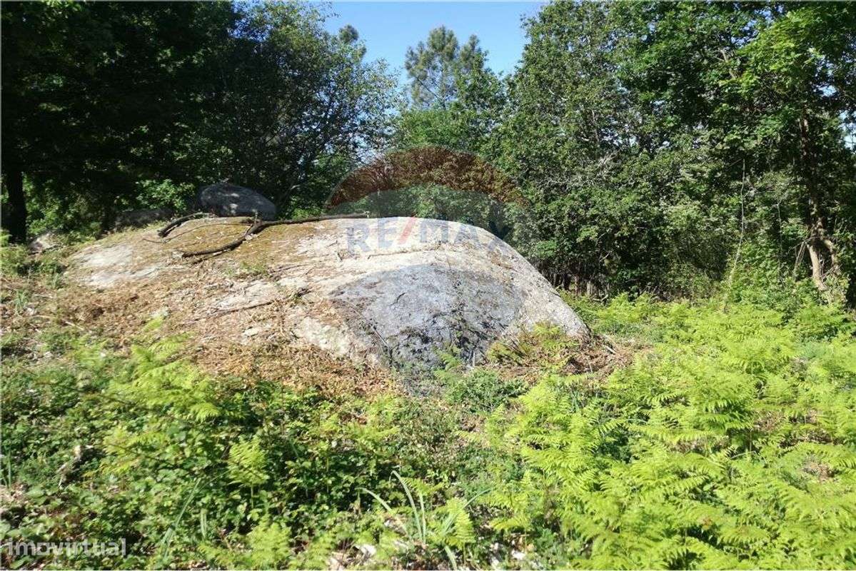 Terreno  para venda - Grande imagem: 4/44