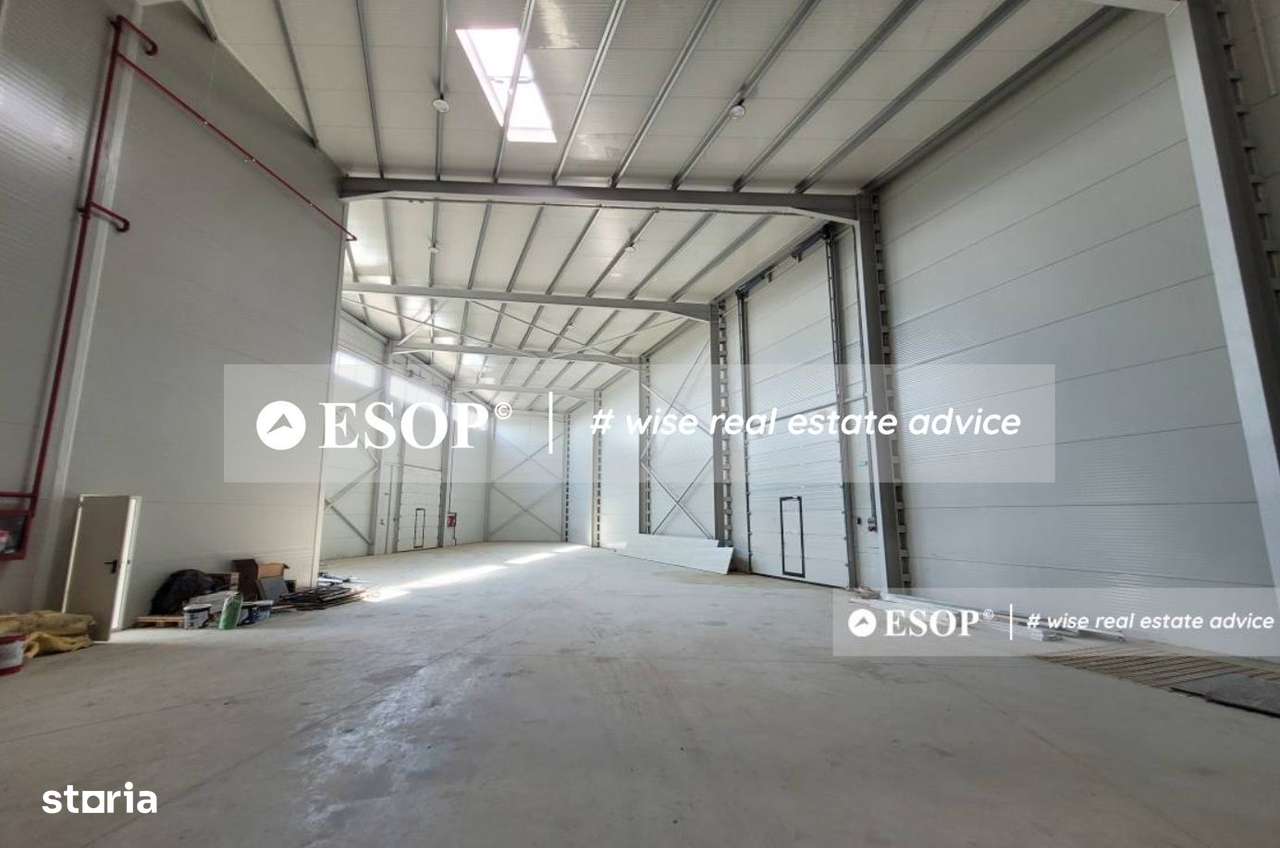 Hala de vanzare,  zona Mogosoaia, 1500mp, ID 15424, - Imagine principală: 4/11