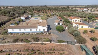 Quinta com piscina em Ferreira do Alentejo - Grande imagem: 3/19