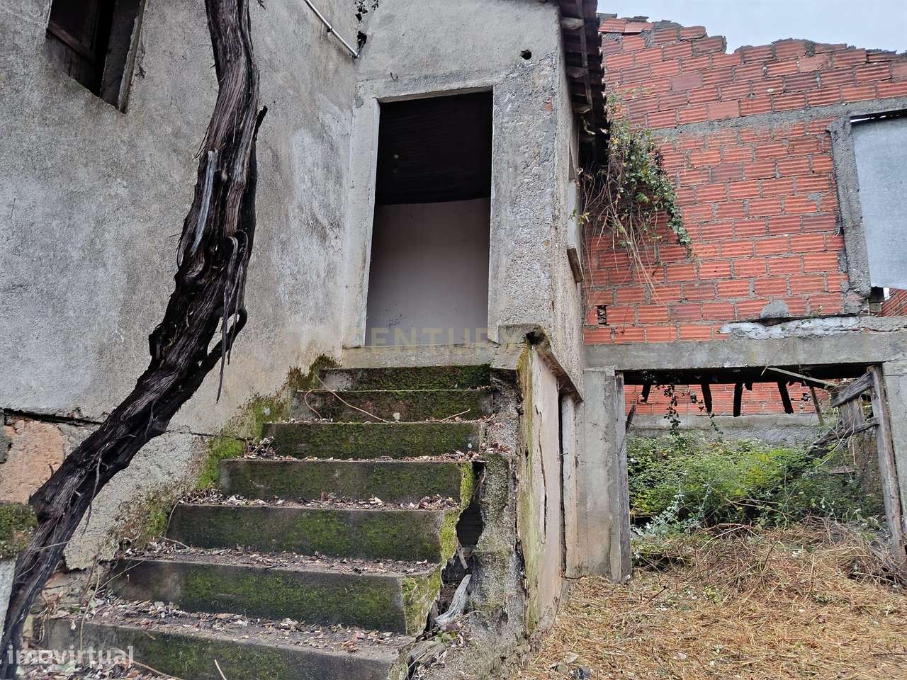 Moradia para recuperar em São Julião de Palácios, Bragança - Grande imagem: 4/11
