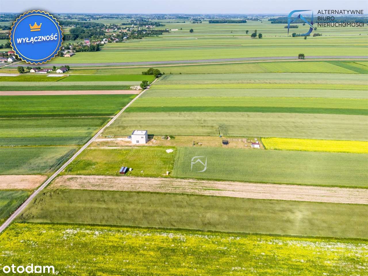 Atrakcyjna działka budowlana - Kolonia Krasienin - Pełny obrazek: 4/17