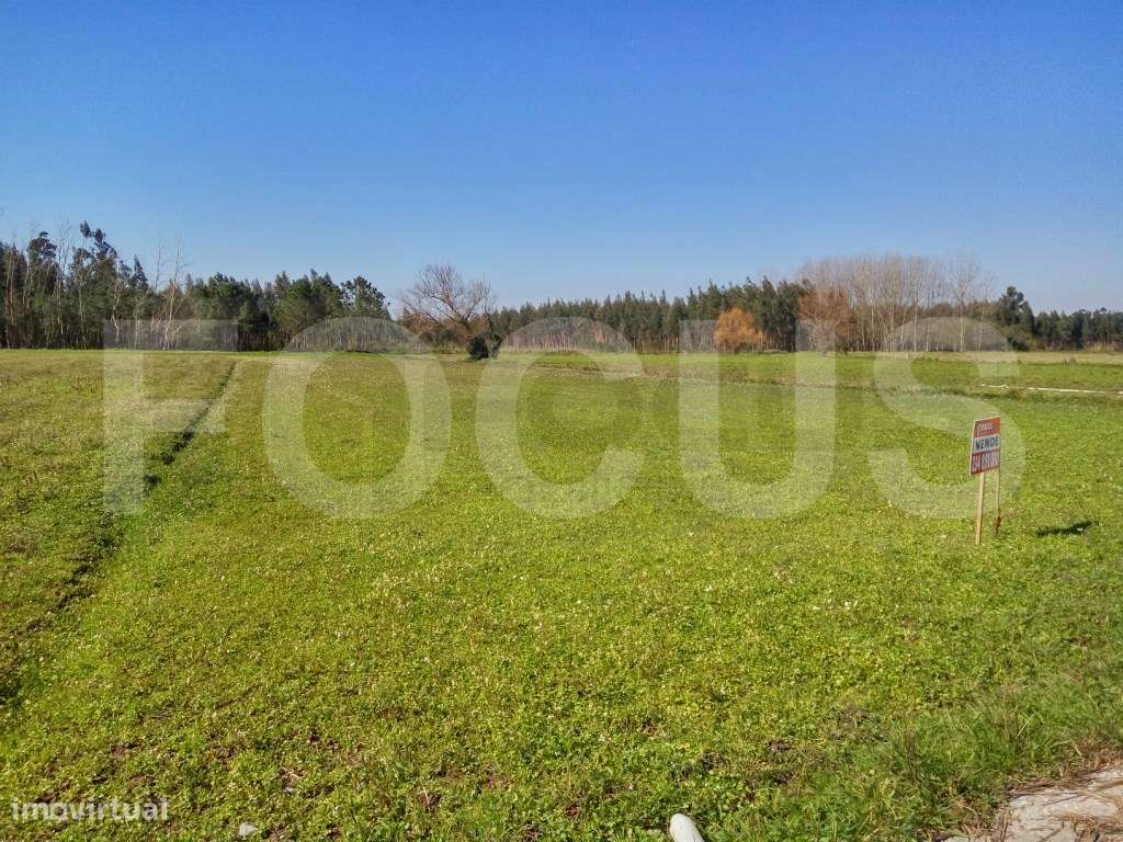 Terreno Rústico - Grande imagem: 3/5