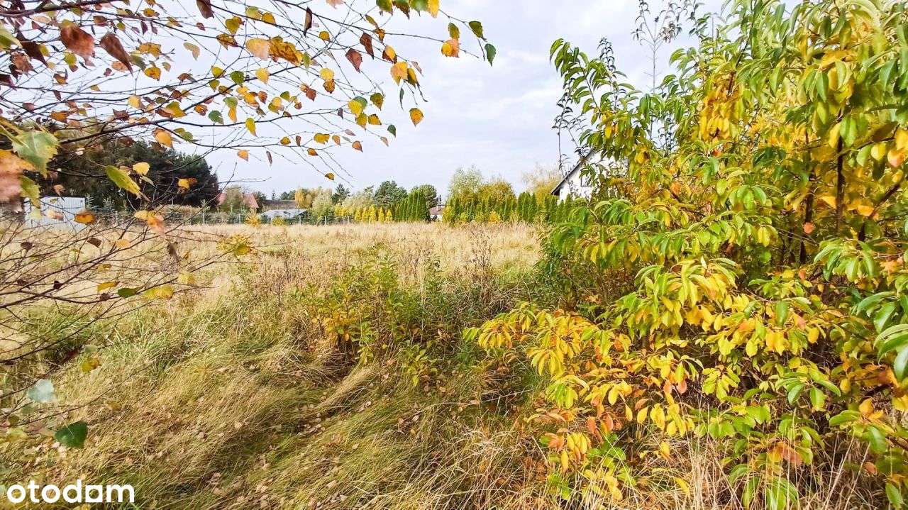 Działka 1246 m2, na sprzedaż - Nieżywięć.-6