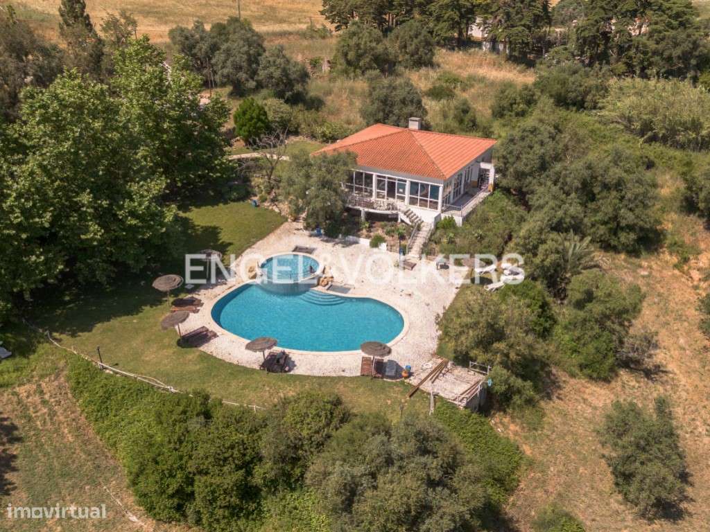 Quinta inserida no Parque da Serra da Arrábida, Habitação e Oportun... - Grande imagem: 2/41