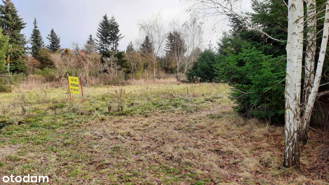 Sągi róg Prętowej 1421 m2 - Pełny obrazek: 5/6