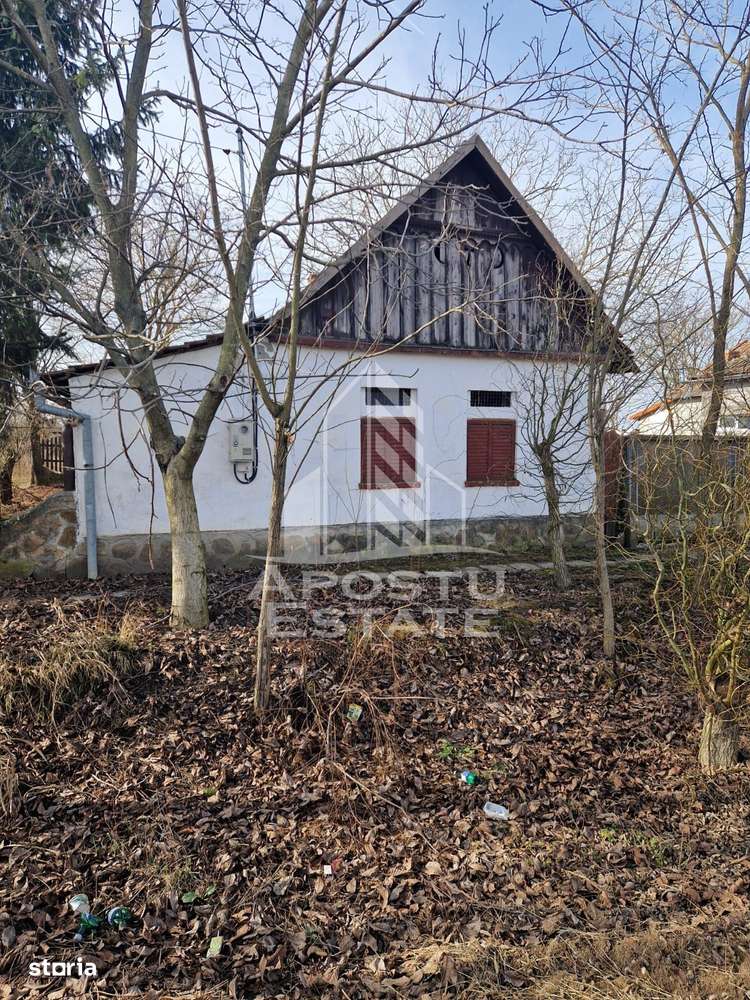 Casa individuala cu 3 camere ,teren 4222 mp in exclusivitate Dorobanti - Imagine principală: 3/16