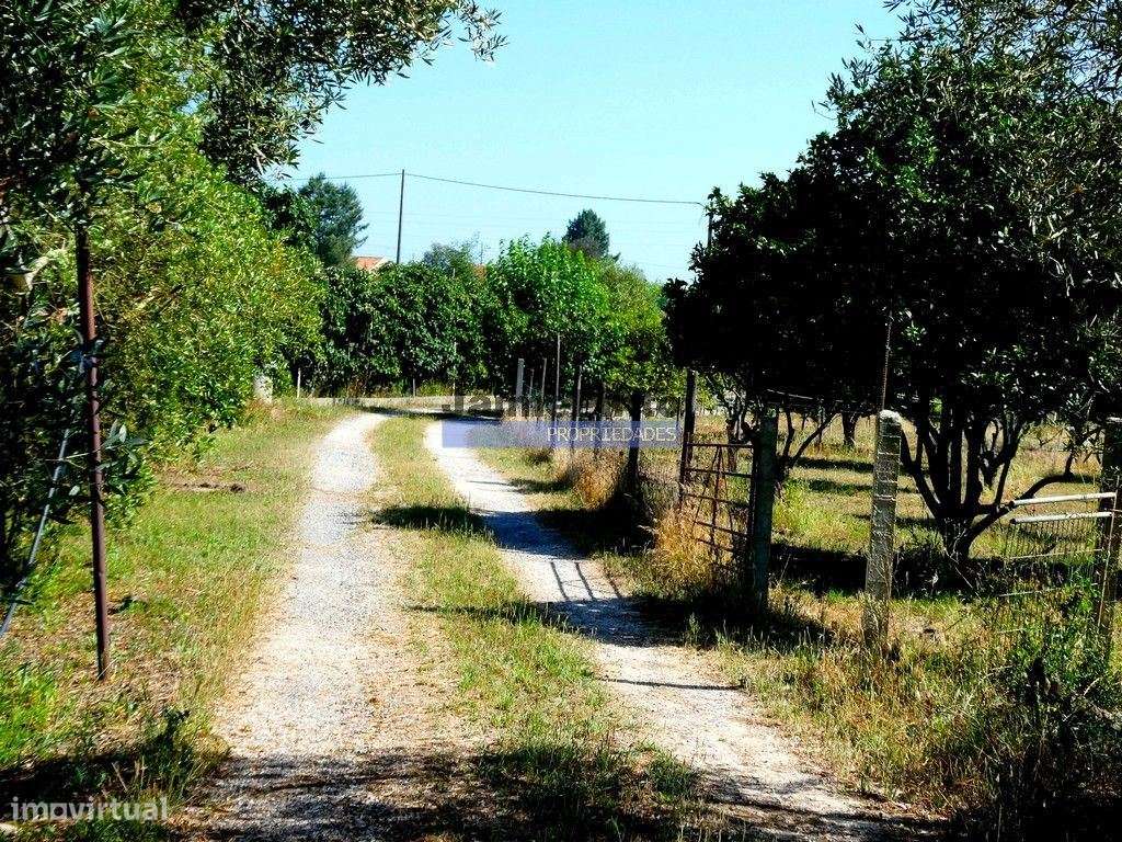 Quinta, Moradia V6, em Pegões. Portugal, Setúbal, Montijo.-6