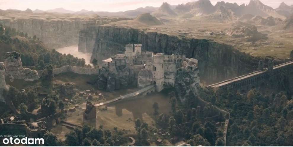 Ostatnia działka budowlana w lesie- 2173 m2 - k. Zamku Ogrodzieniec-8