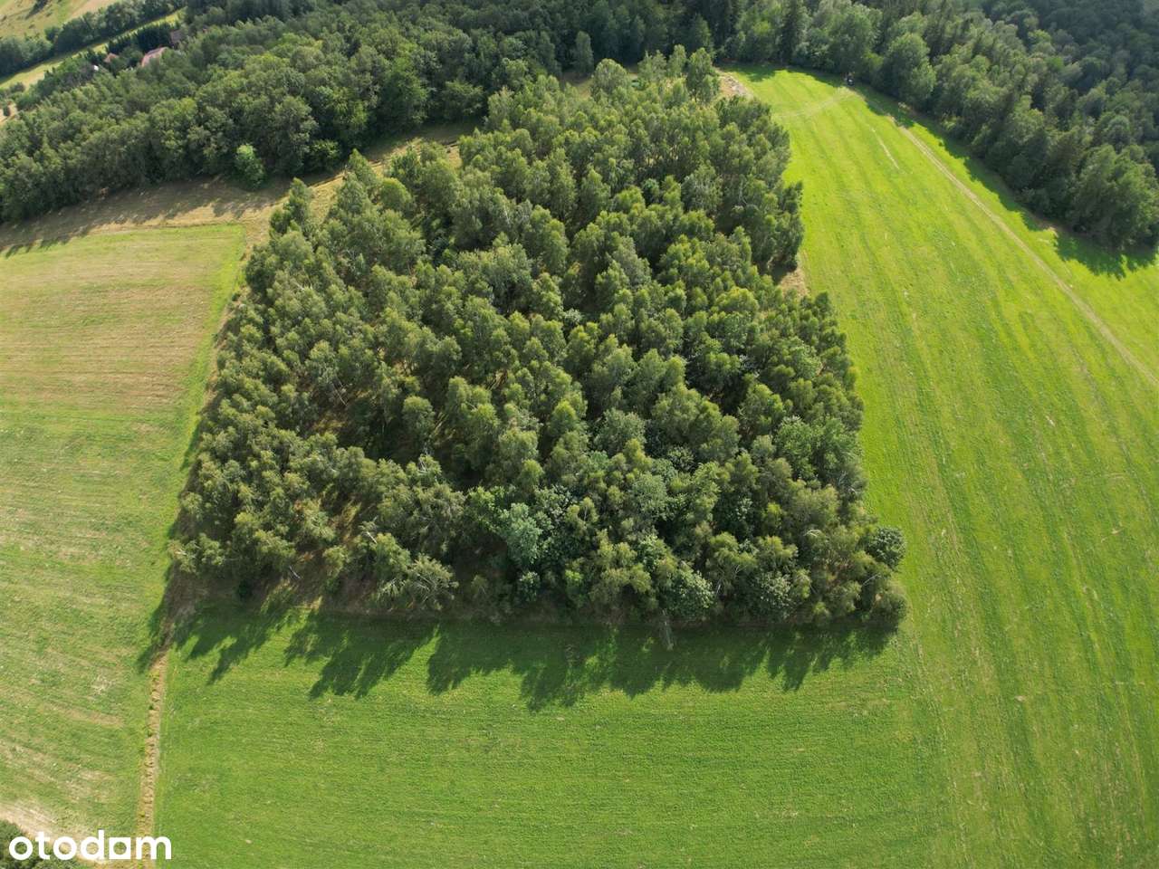 Działka Rolna - Pełny obrazek: 4/13