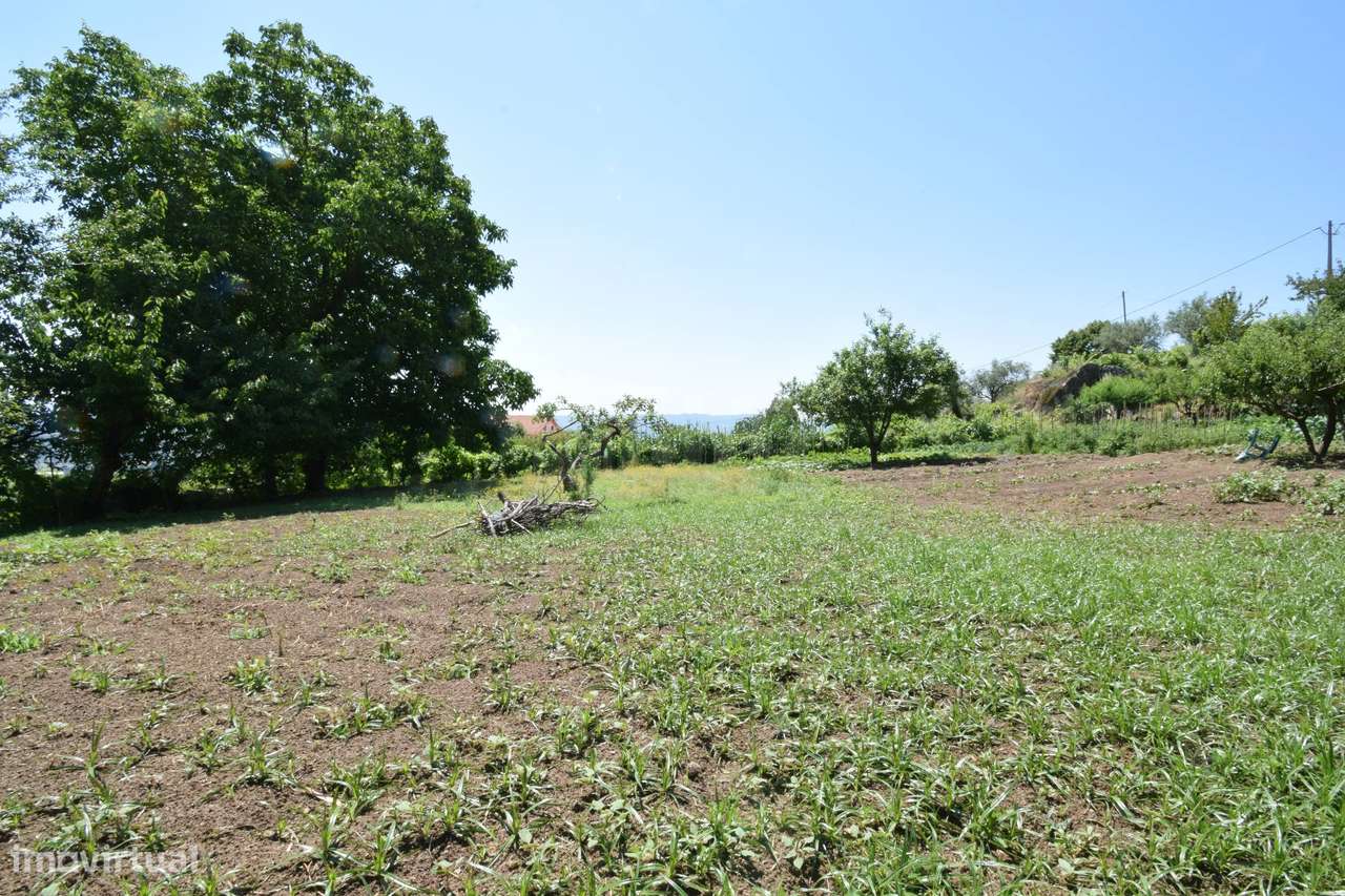 Terreno com 4.522 m² e Viabilidade de Construção - Vila do Carvalho-35