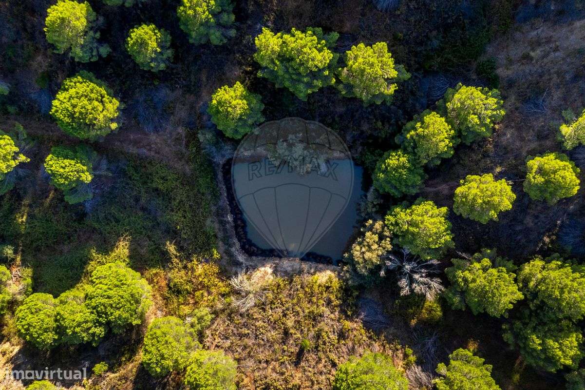 Quinta  para venda - Grande imagem: 5/17