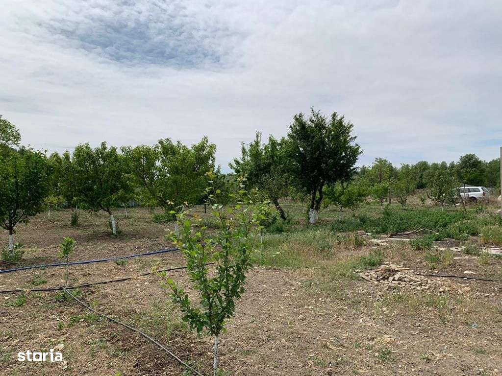 Casa cu teren 8300 mp-2