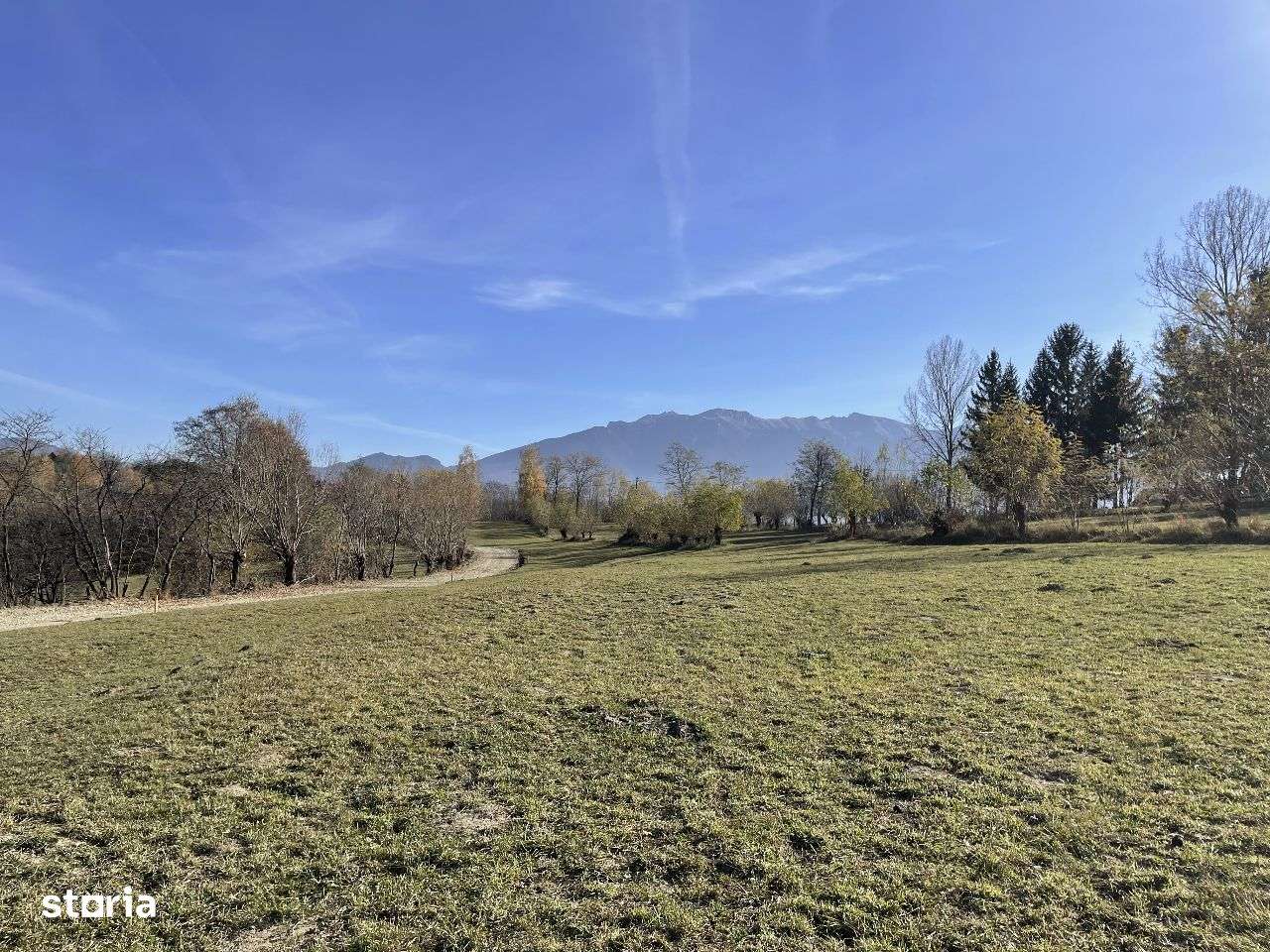 Teren intravilan 500 mp in Zarnesti-Tohanita la 5 km de Plaiul Foii-8
