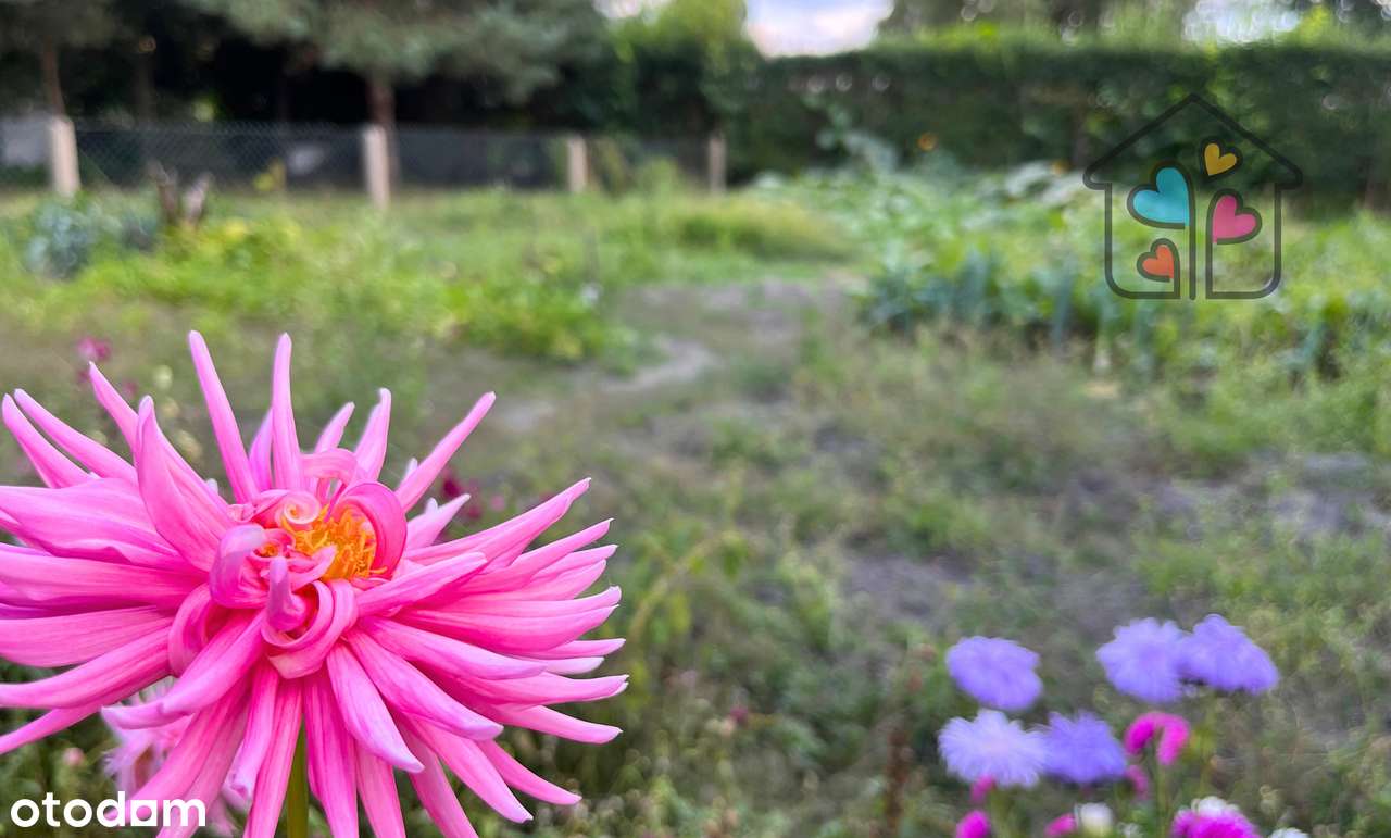 1/2 domu w Kluczborku !!!  duża działka-17