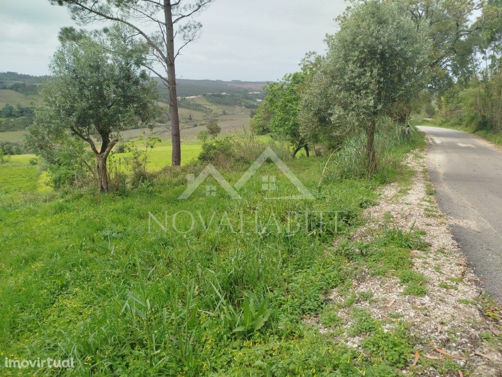 Terreno agrícola com 15640 m2 perto das Caldas da Rainha