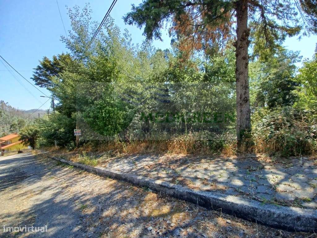 TERRENO JUNTO AO CENTRO DA VILA COM VIABILIDADE DE CONSTRUÇÃO - Grande imagem: 5/8