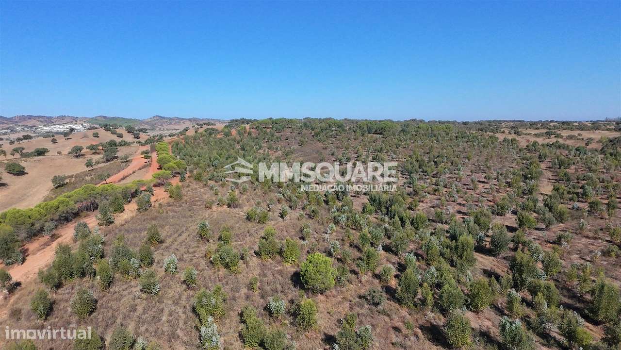 Herdade  Venda em Garvão e Santa Luzia,Ourique-39