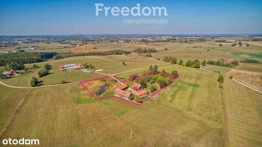 Siedlisko na Mazurach z własnym sadem i stawem - Pełny obrazek: 5/19