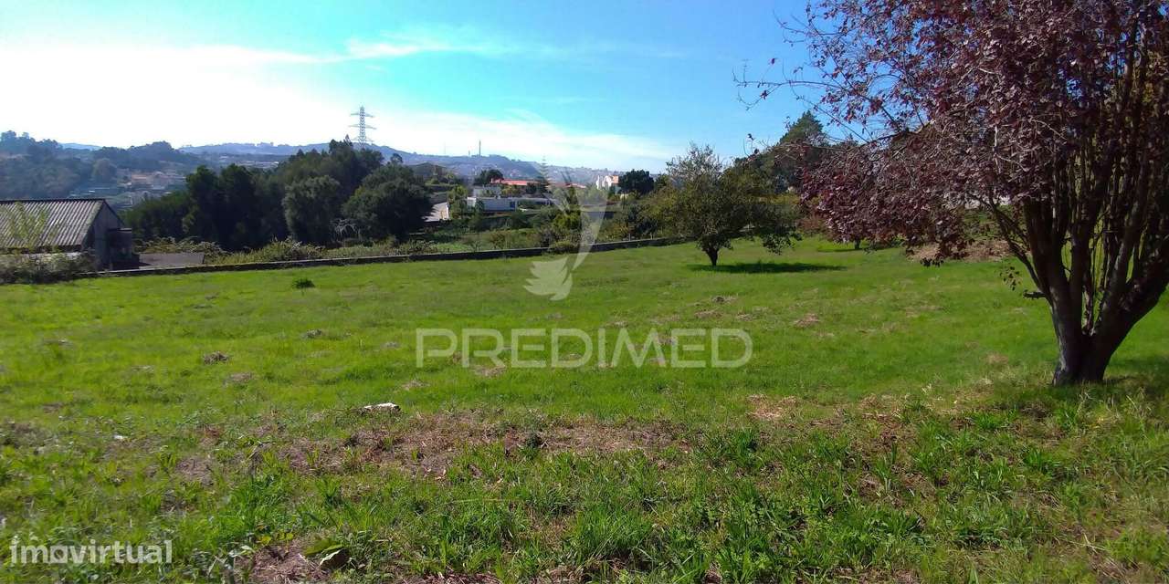 Terreno com vistas Douro (encosta do douro) - Grande imagem: 5/7