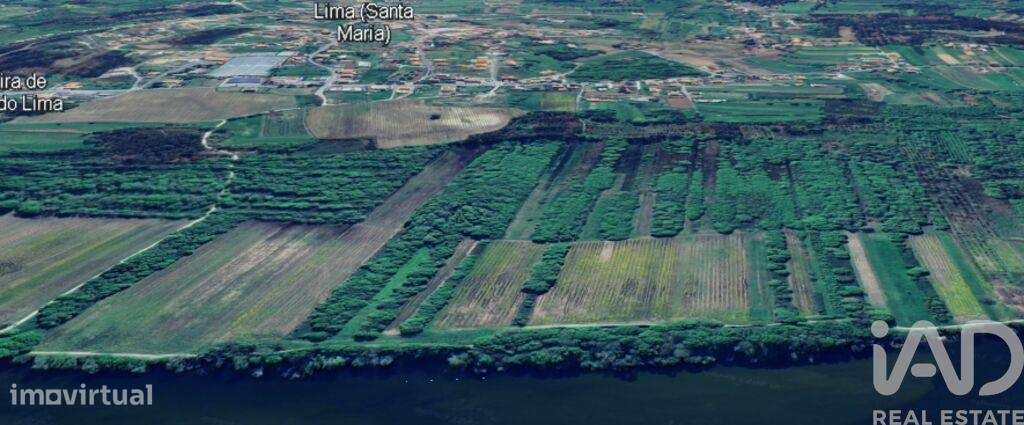 Terreno em Geraz Do Lima (Santa Maria, Santa Leocádia E Moreira) E Deã - Grande imagem: 4/4