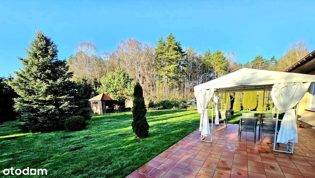 Dom pod samym lasem w Dobrej na dużej działce!-4