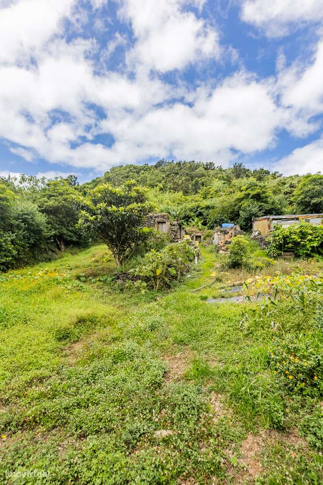 Terreno - Caloura-3