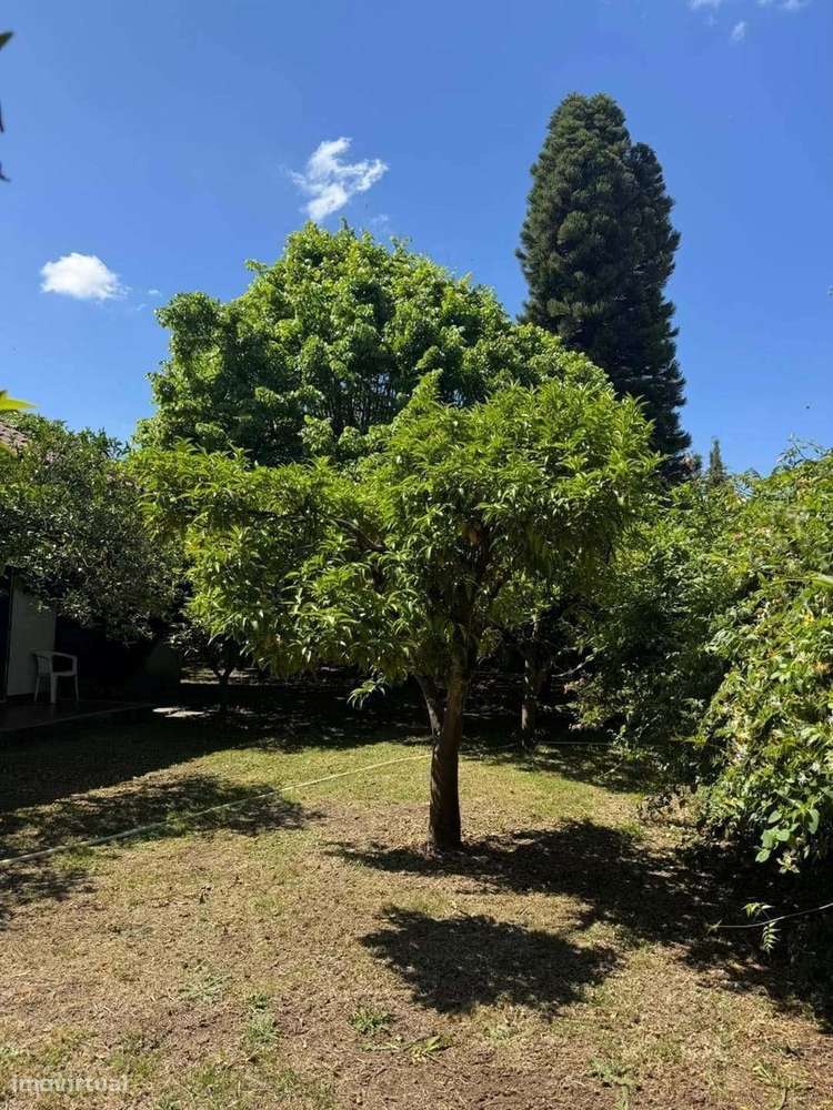 Moradia T4 com Jardim e Vista de Campo na Golegã-32