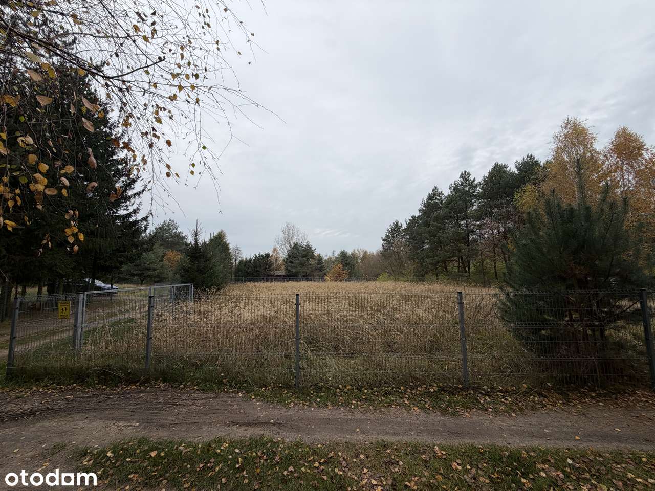 Sprzedam działkę nad Jeziorem Wilczyńskim – ogrodzona, z mediami! - Pełny obrazek: 4/4