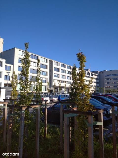 WŁAŚCICIEL, magazyn 590 m2 , Górczyn, Grunwald - Pełny obrazek: 1/6