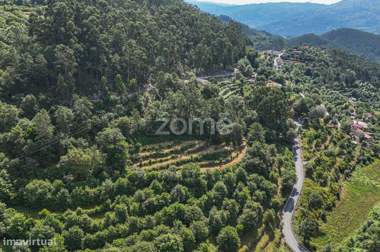Terreno Rústico com Nascente em Seramil - Grande imagem: 5/16