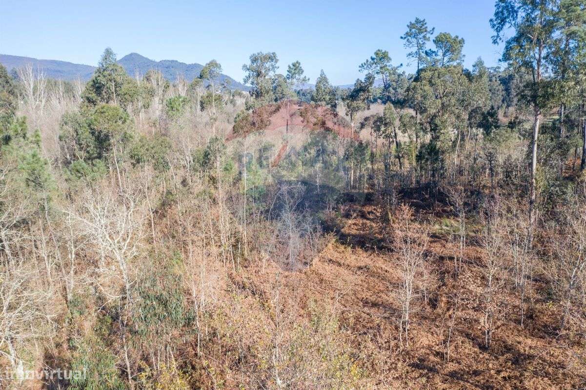 Terreno  para venda - Grande imagem: 4/11