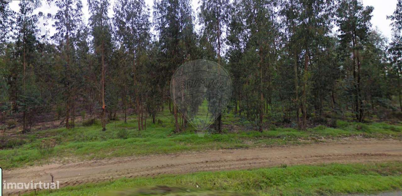 Terreno  para venda - Grande imagem: 3/3