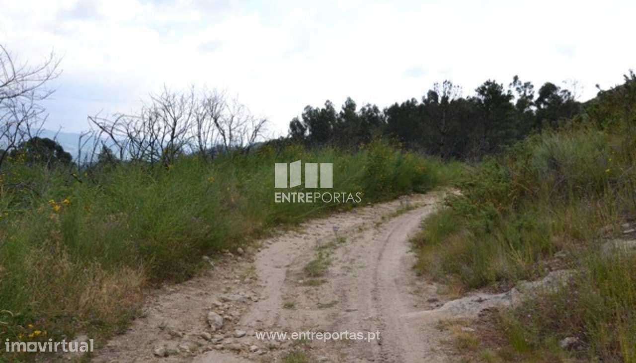 Venda Terreno, Sande, Marco de Canaveses - Grande imagem: 4/18