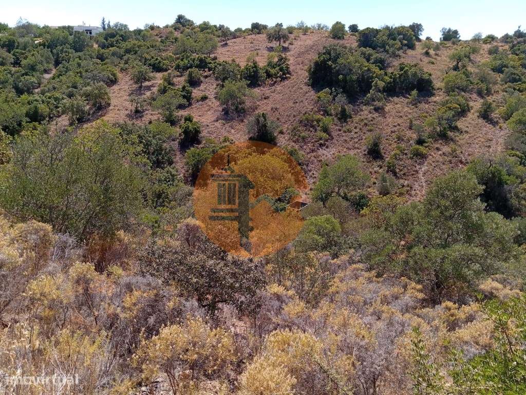 Terreno Rústico em Santa Catarina da Fonte do Bispo - Grande imagem: 5/9