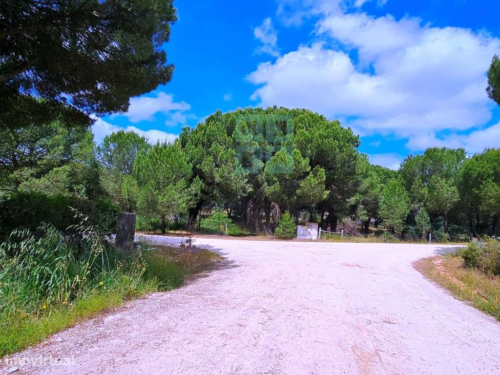 Lote de Terreno de 33.300m2, com lagoa, na Mata do Duque 1, Santo E...-19