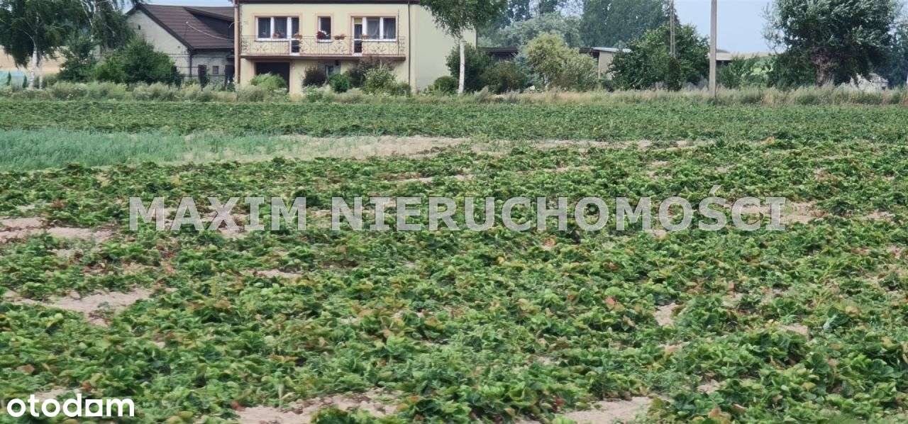 Piękne działki w Januszewie gm. Naruszewo - Pełny obrazek: 3/10